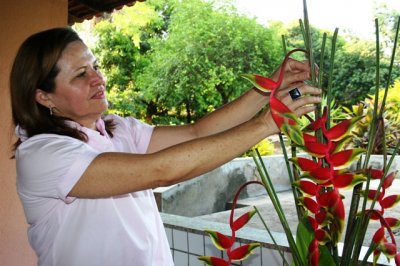 Flores Tropicais