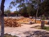 Reforma de praa em So Joo do Piau