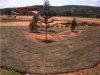 Arborizao da cidade